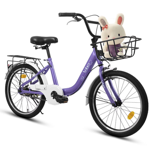20 in Kids Bike for Boys Girls, 1 Speed Children Bicycle with Basket, Rear Seat, Chain Guard - Product image 1